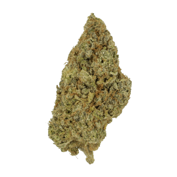 Grape Mimosa | Green Society Canada