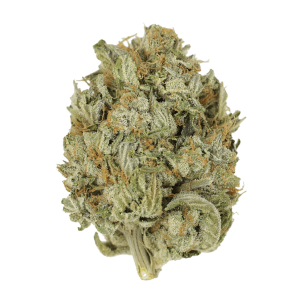 Blue Dream (Popcorn) | Green Society Canada