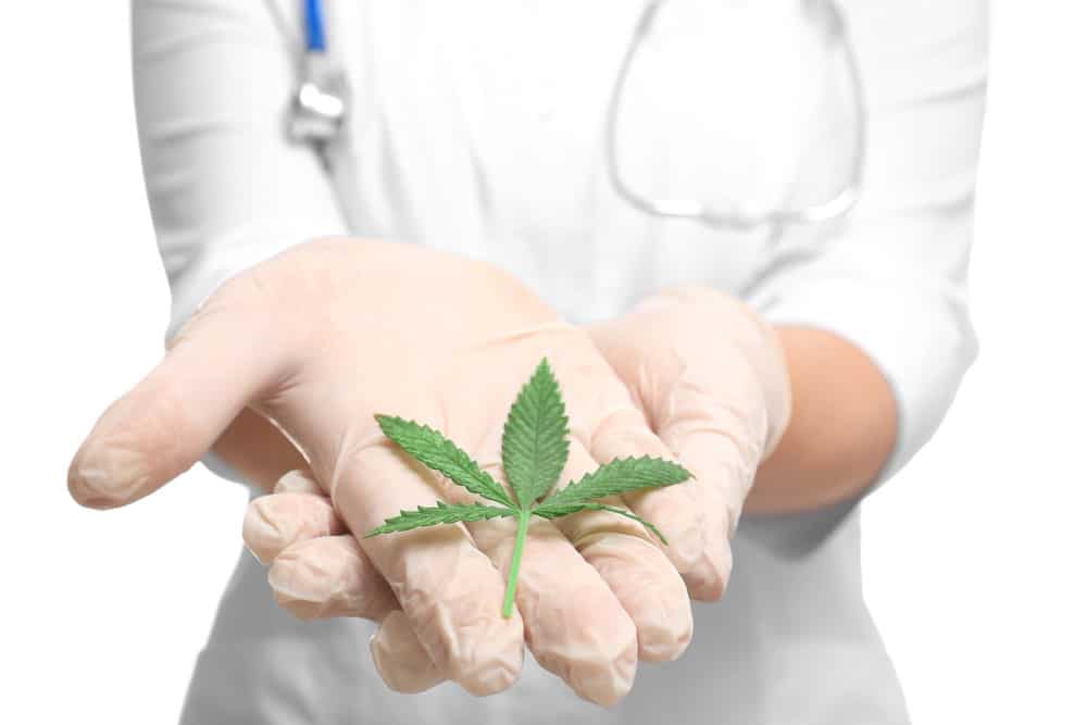 Cannabis as a natural cure for pain | Green Society Canada