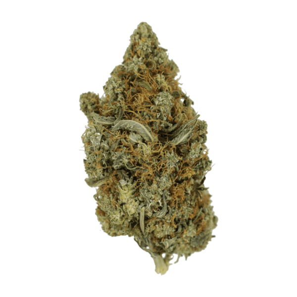 Jack Herer 1 Ounce | Green Society Canada