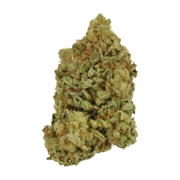 Blueberry | Green Society Canada