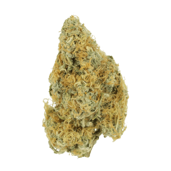 Alien OG (Popcorn) – 2OZ/$69 | Green Society Canada