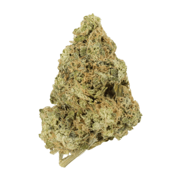 Zombie OG | Green Society Canada