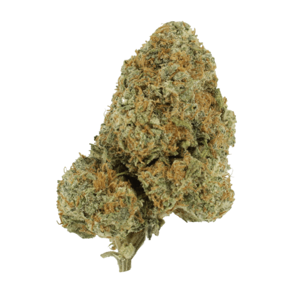 Blue Rhino | Green Society Canada