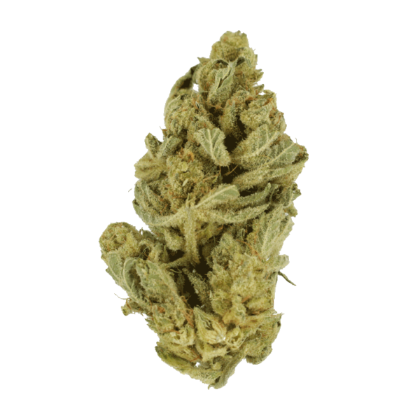 Hindu Kush – 7g | Green Society Canada