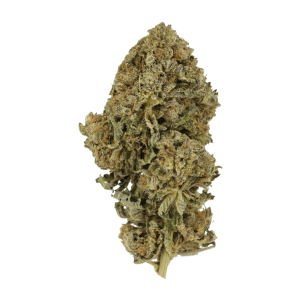 Durban Poison | Green Society Canada