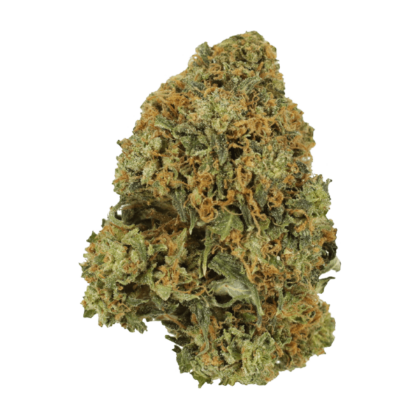 Durban Poison | Green Society Canada