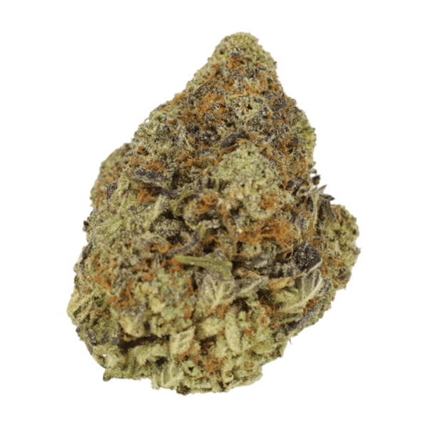 Durban Poison | Green Society Canada