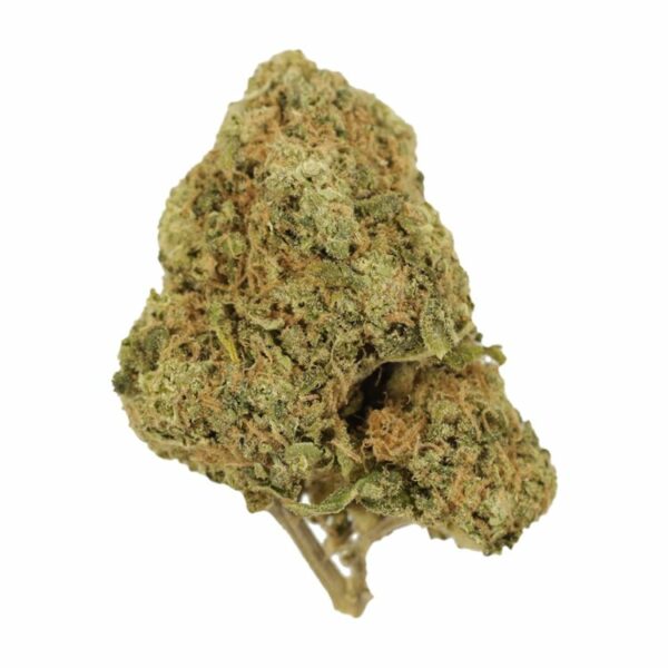 Tangerine Dream | Green Society Canada