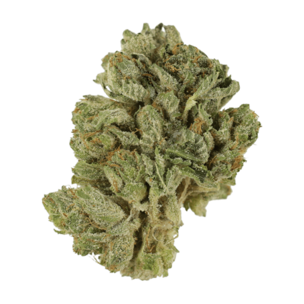 Northern Lights 2 for $69 | Green Society Canada