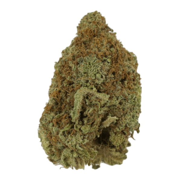 Mango Haze | Green Society Canada