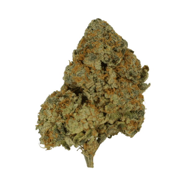 9lb Hammer | Green Society Canada