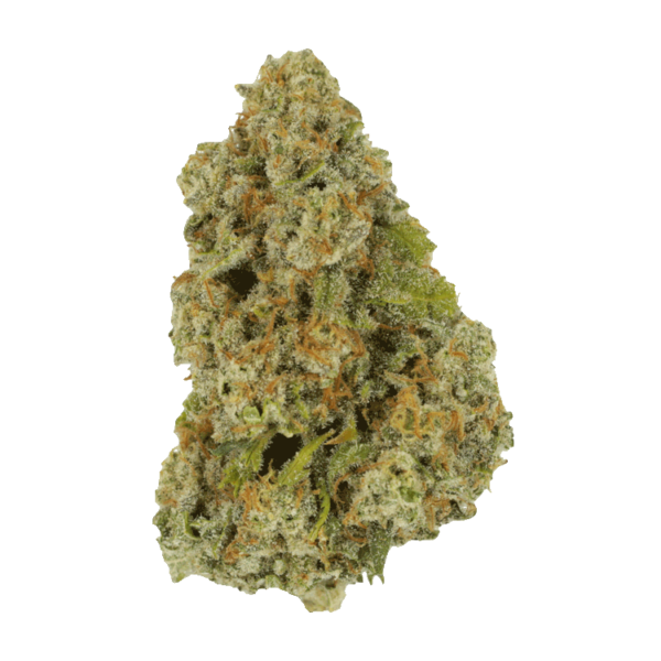 Colorado Diesel | Green Society Canada