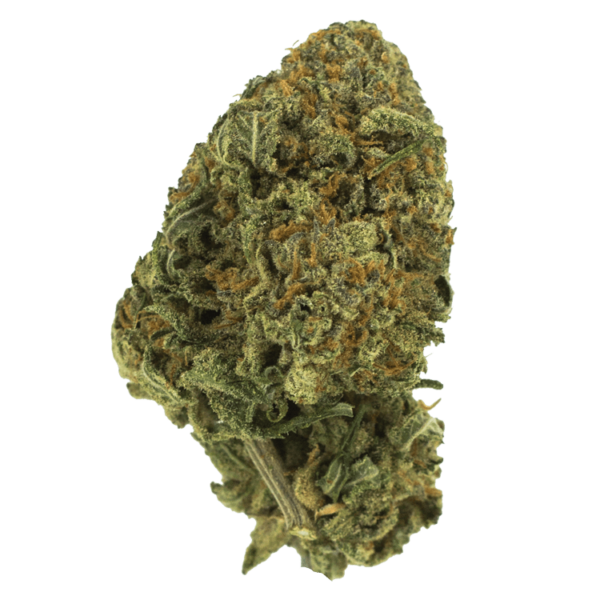 Black Nuken | Green Society Canada