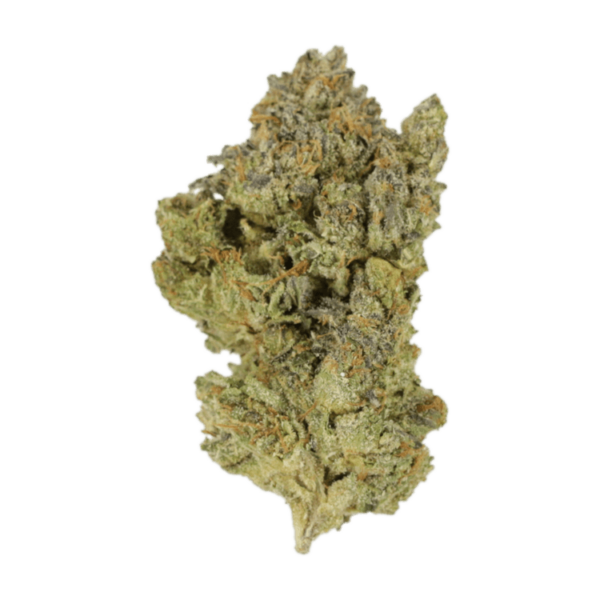 Golden Goat | Green Society Canada