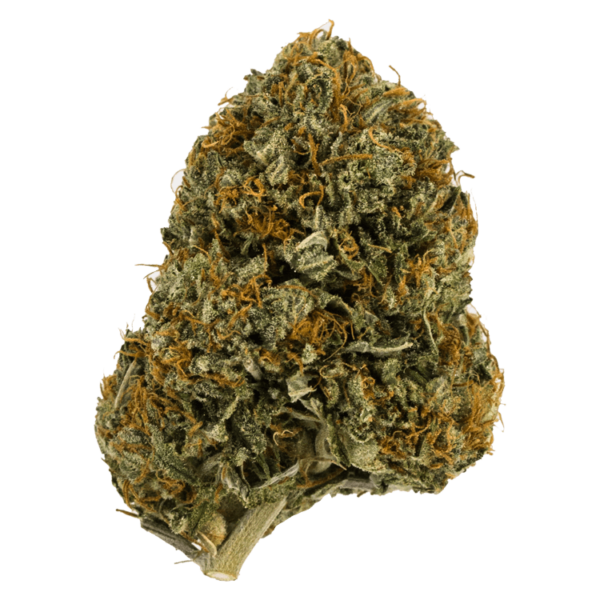 Wifi OG – 1 ounce | Green Society Canada