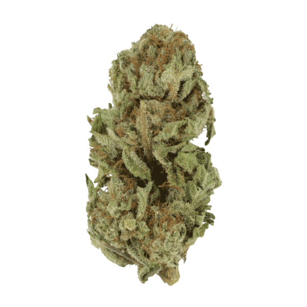 Golden Goat | Green Society Canada