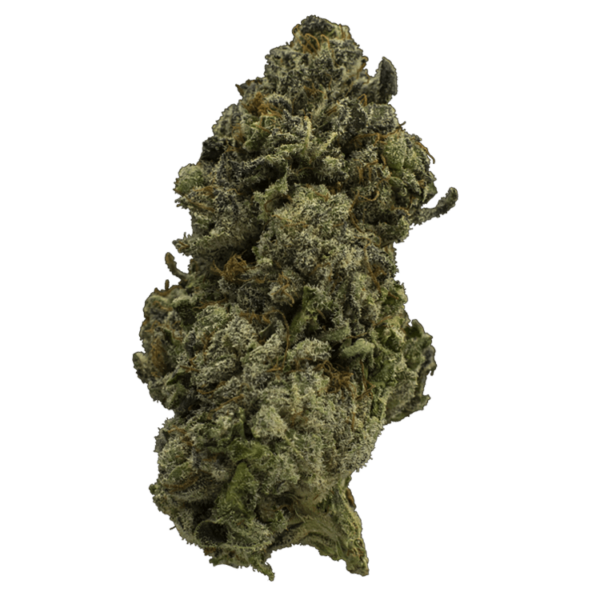 Fire Alien Urkle | Green Society Canada