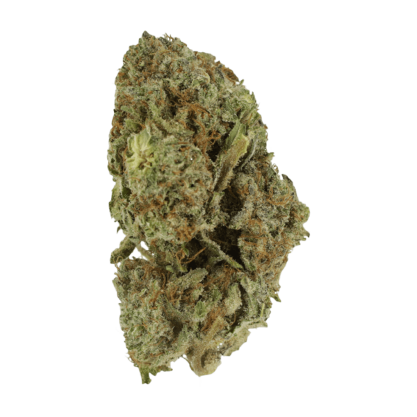 Gelato Sorbet – 1 ounce | Green Society Canada