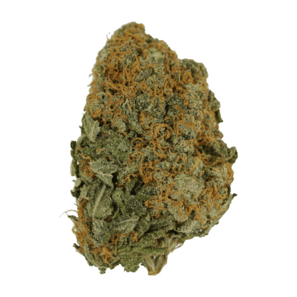 Master Kush Ultra | Green Society Canada