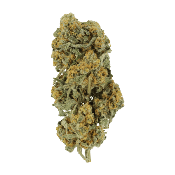 Miracle Alien Cookies | Green Society Canada