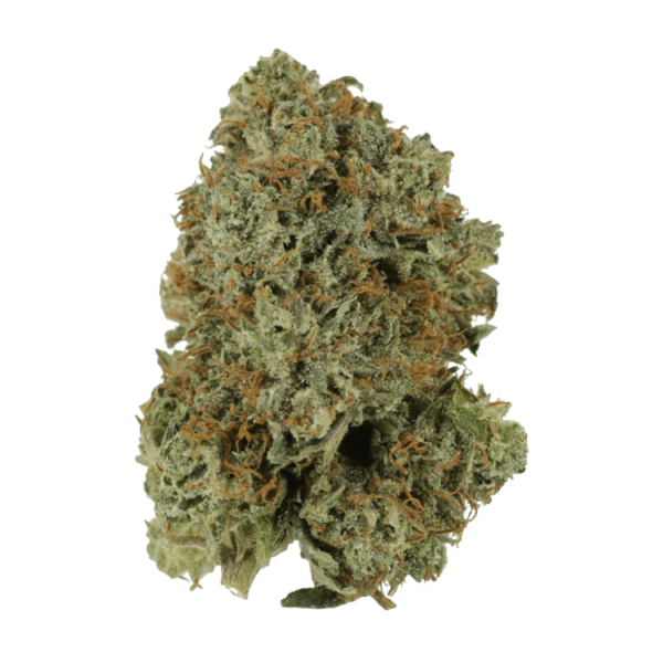 Pink Rockstar | Green Society Canada