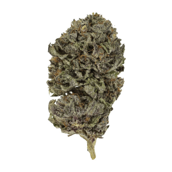 Purple Skunk | Green Society Canada