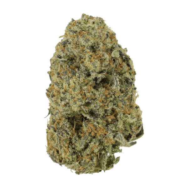 Northern Haze Express | Green Society Canada