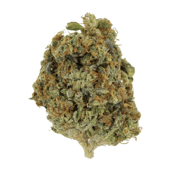 Sunset Sherbert | Green Society Canada