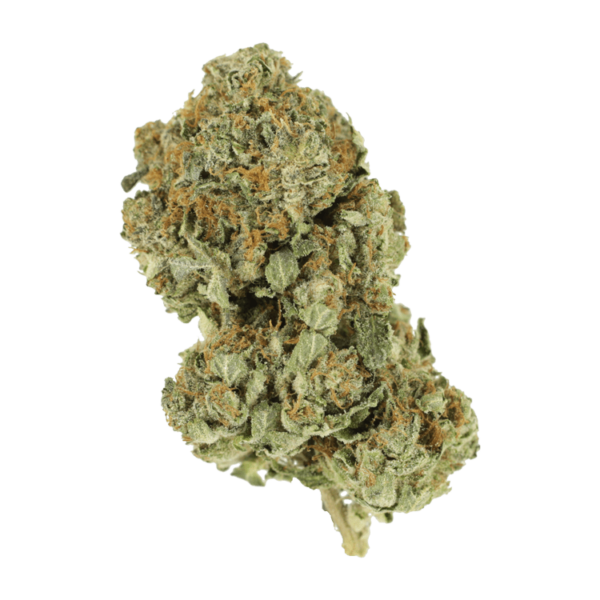 Romulan | Green Society Canada