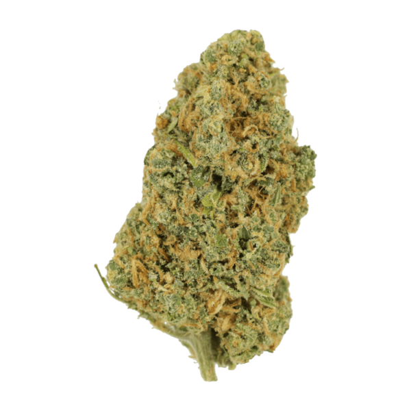 Lemon Bomb | Green Society Canada