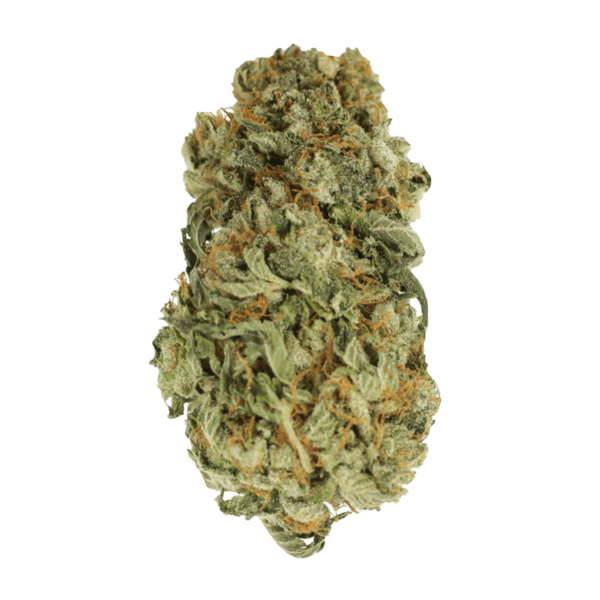 King Louis – 1 ounce | Green Society Canada