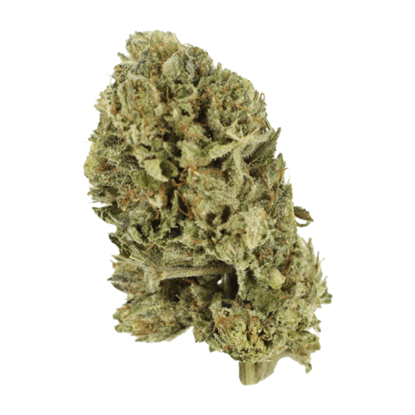 Purple OG Kush – 1 ounce | Green Society Canada