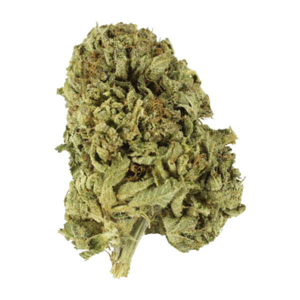 Strawberry Romulan | Green Society Canada