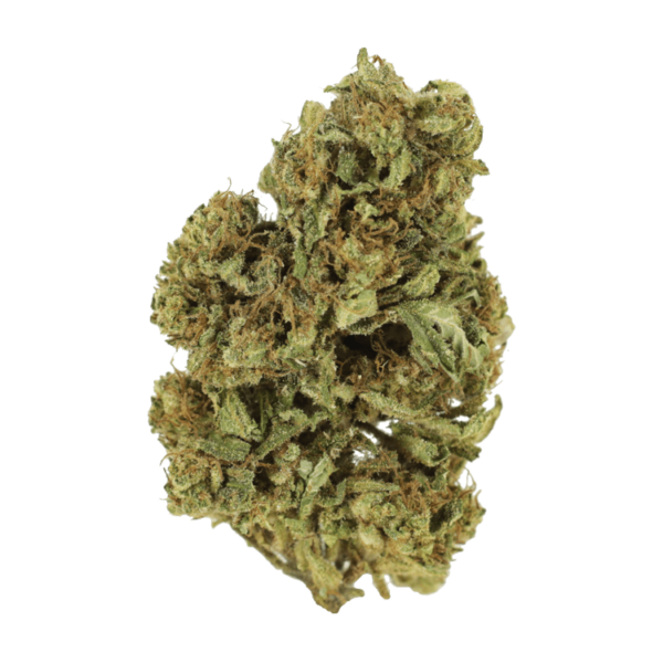 Cherry Wine (CBD) | Green Society Canada