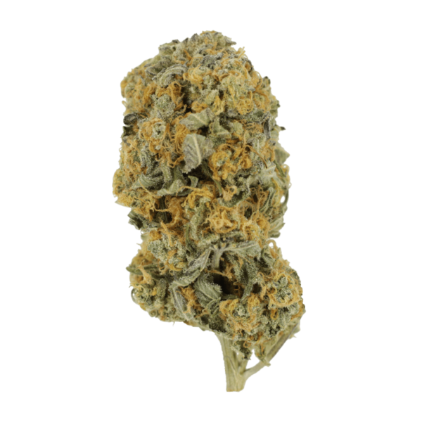 Sour Prince | Green Society Canada