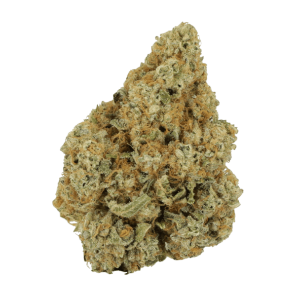 Black Cherry Punch | Green Society Canada