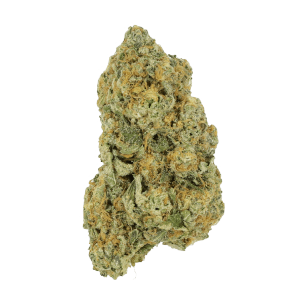 Black Cherry Punch | Green Society Canada