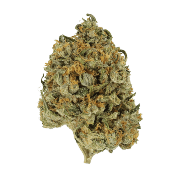 Banana Punch | Green Society Canada