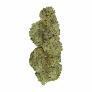 Strawberry Cough | Green Society Canada