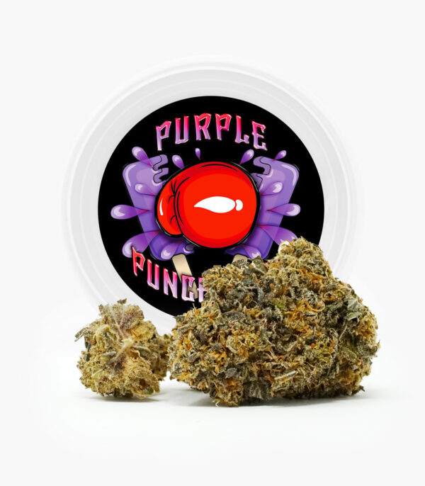 Westcoast Cali Tins – Premium Flower – Purple Punchsicle – 14g | Green Society Canada