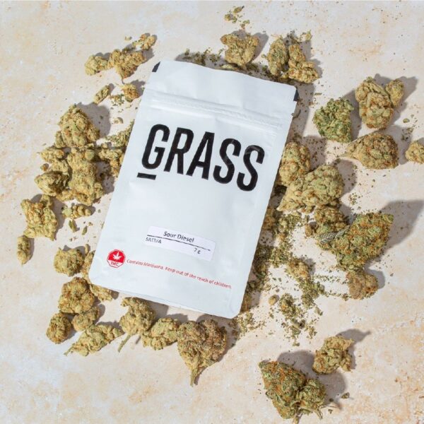 1/2OZ Sample Pack (AAA) – SAVE 20% | Green Society Canada