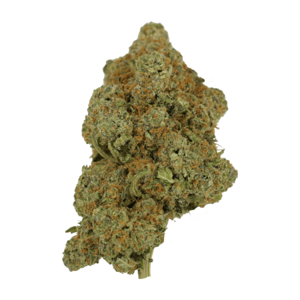 Tropicana Cookies | Green Society Canada