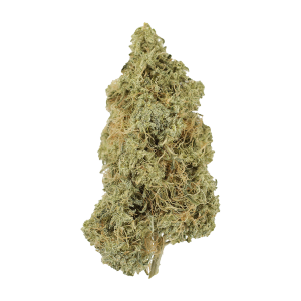 Tropicana Cookies | Green Society Canada