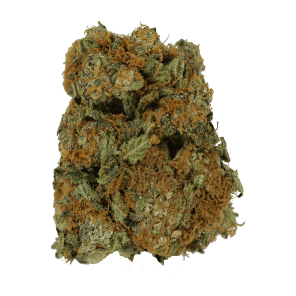 Sour Amnesia | Green Society Canada