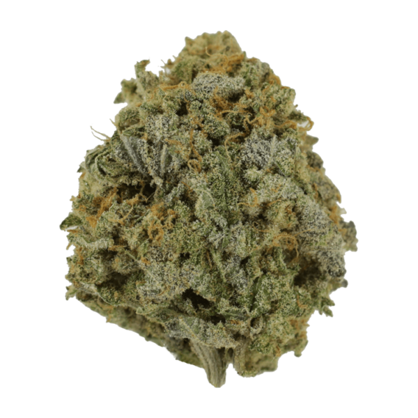 Pink Tuna (Popcorn) – $40/oz | Green Society Canada