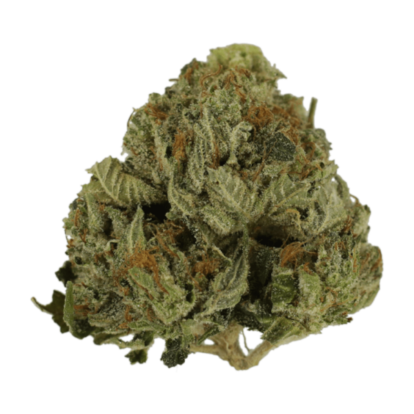 Pink Animal – 1 ounce | Green Society Canada