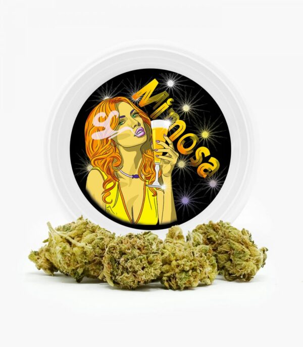 Westcoast Cali Tins – Premium Flower – Mimosa – 3.5g | Green Society Canada