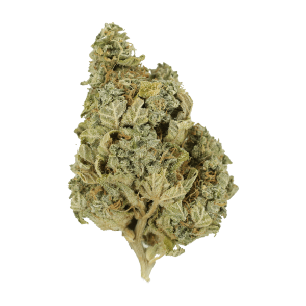 Khalifa Kush | Green Society Canada