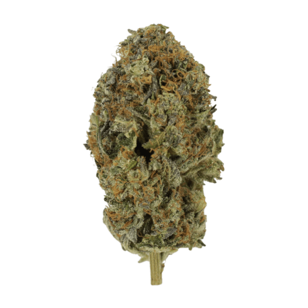 Acapulco Gold | Green Society Canada